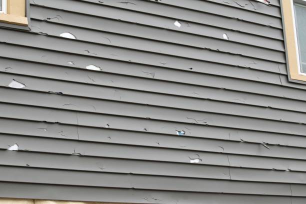 Best Custom Siding Design  in Lake Los Angeles, CA