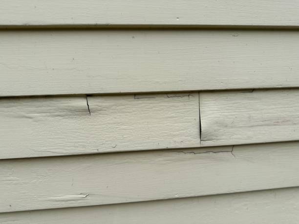 Professional Siding Installation & Repair in Lake Los Angeles, CA